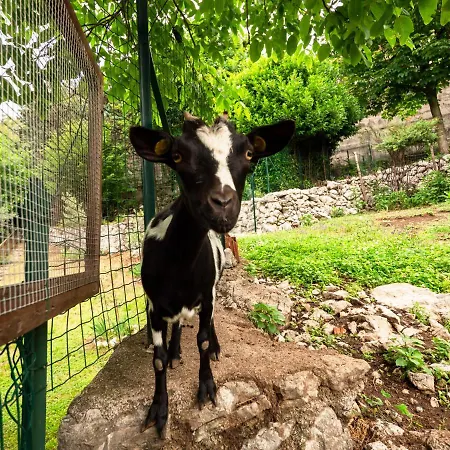 Margherita-3 By Interhome Anduins