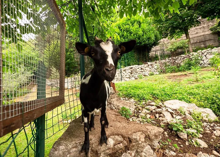 Margherita-3 By Interhome Anduins